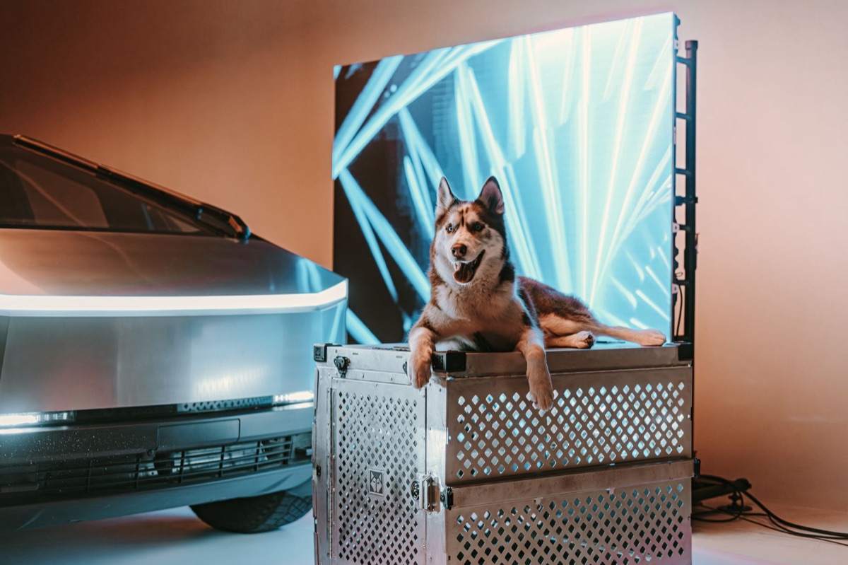 montagem de Tesla Cybertruck