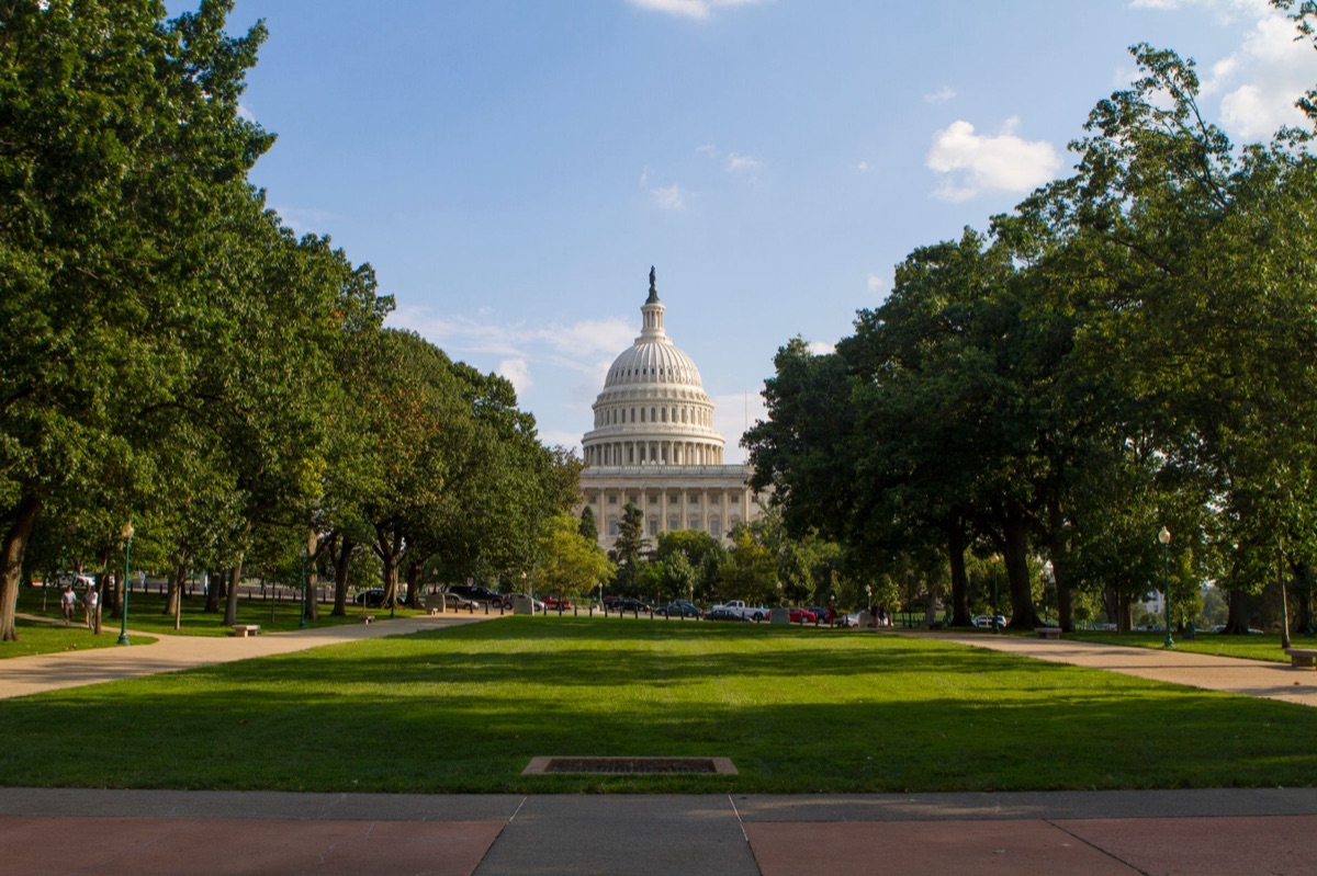 Das Kapitol in Washington D.C.