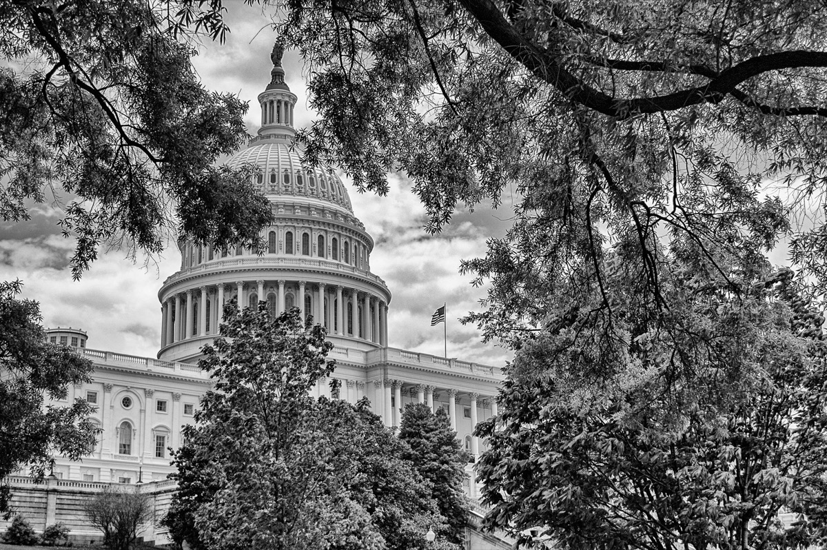 Le Capitole des États-Unis à Washington D.C.