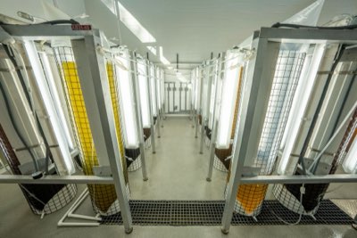 Liderazgo biotecnológico: De la FDA al mercado mundial 2026